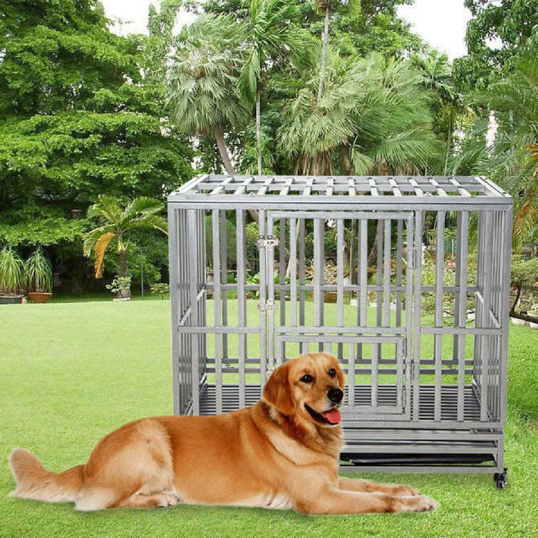 MingshanAncient LUCKUP Heavy Duty Dog Cage Strong Metal Kennel And
